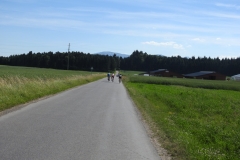 course-fve-2017-338