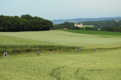 course-fve-2017-351
