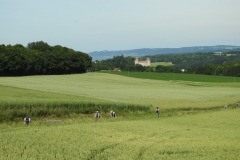 course-fve-2017-352